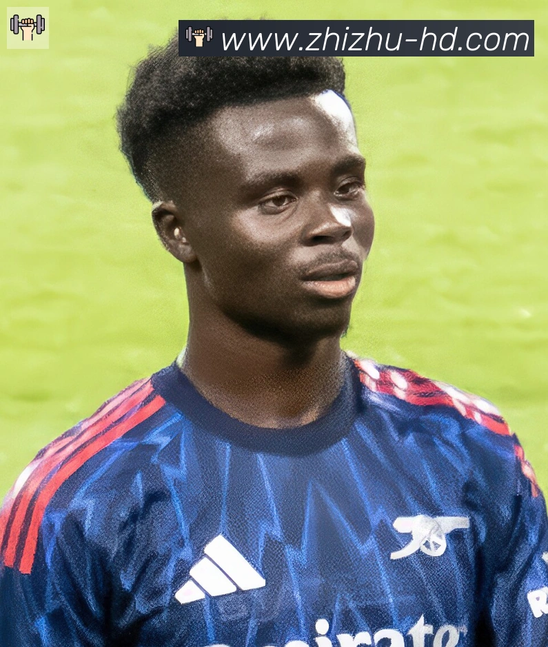 维尼修斯